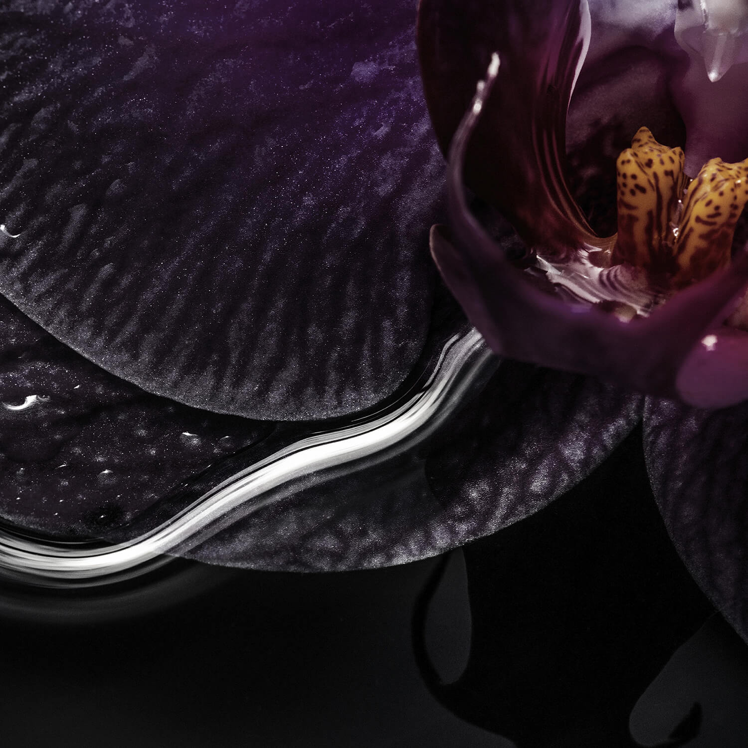 BLACK ORCHID EDP